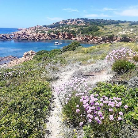 B&B La Tasgia Aggius Luaran gambar
