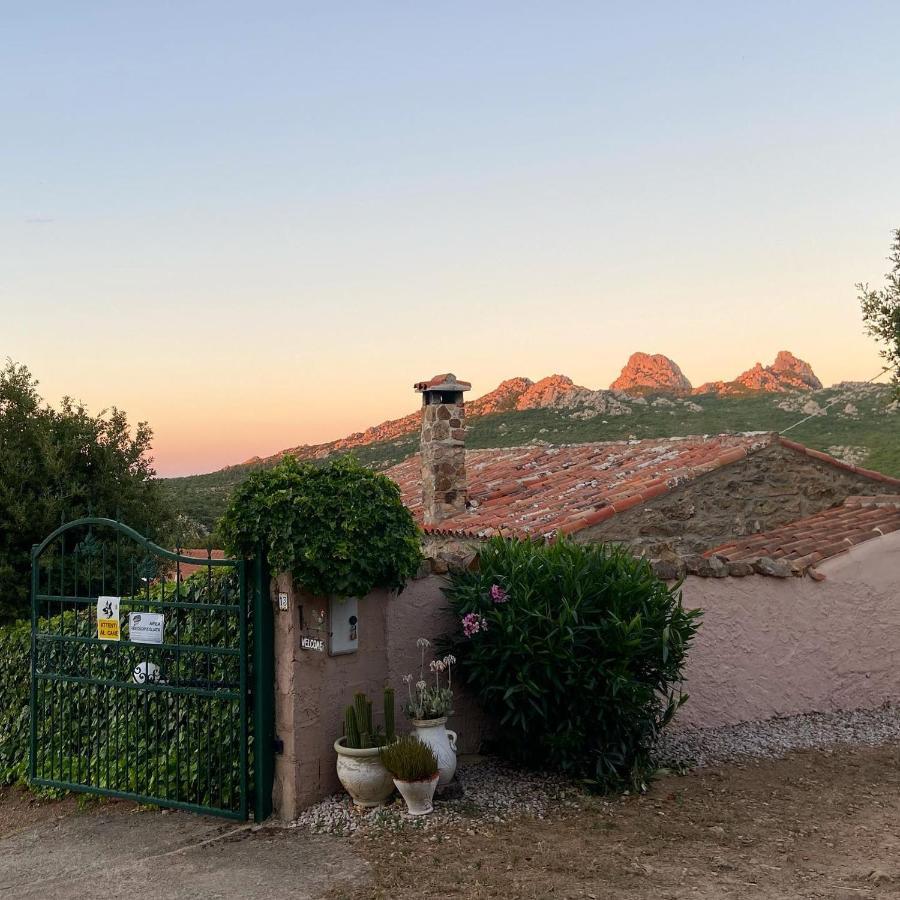 B&B La Tasgia Aggius Luaran gambar