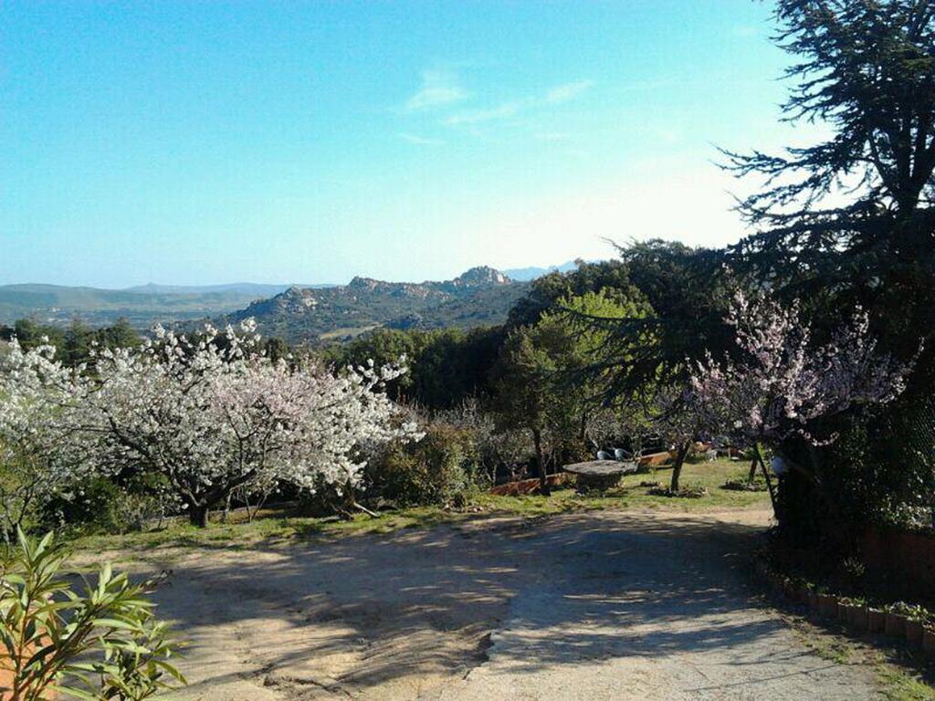 B&B La Tasgia Aggius Luaran gambar