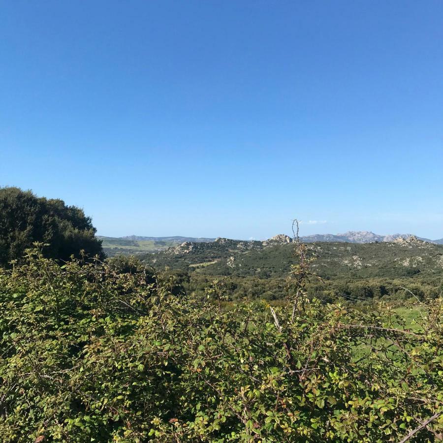B&B La Tasgia Aggius Luaran gambar