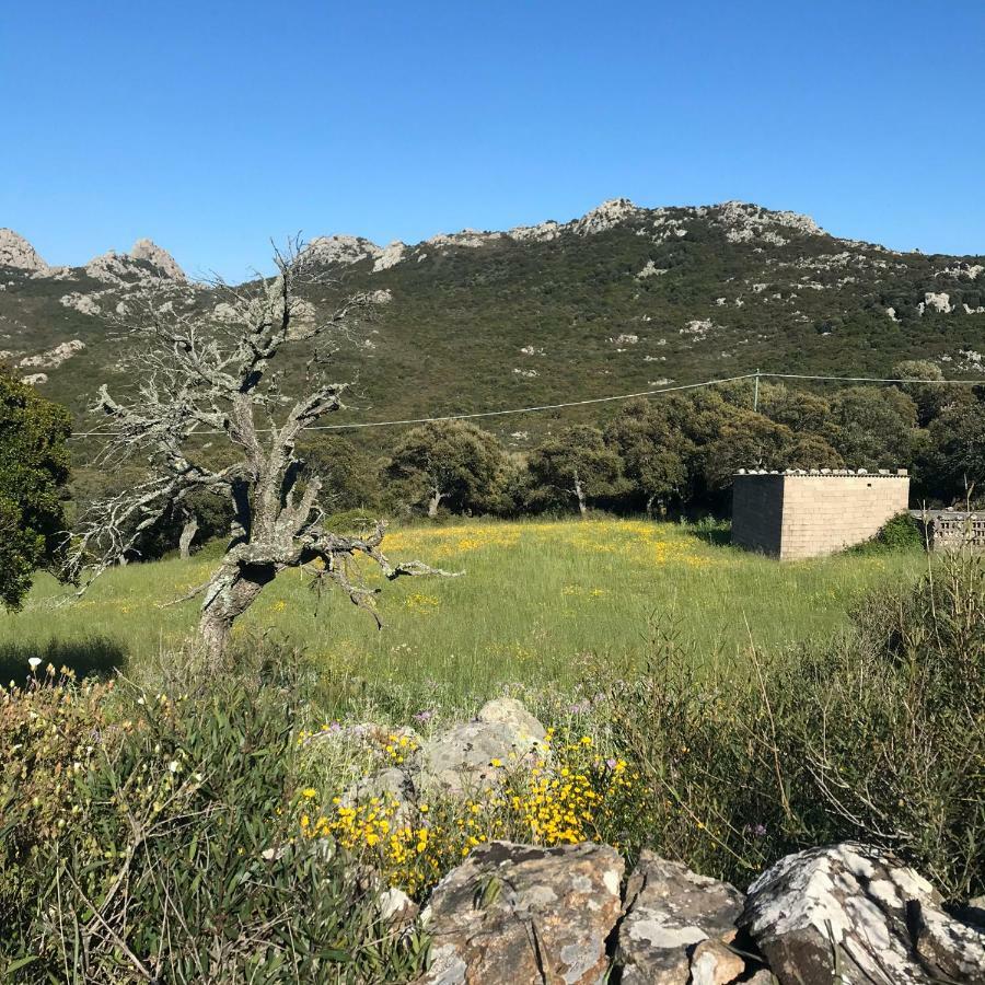 B&B La Tasgia Aggius Luaran gambar