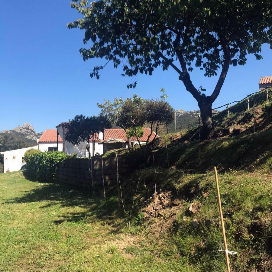 B&B La Tasgia Aggius Luaran gambar