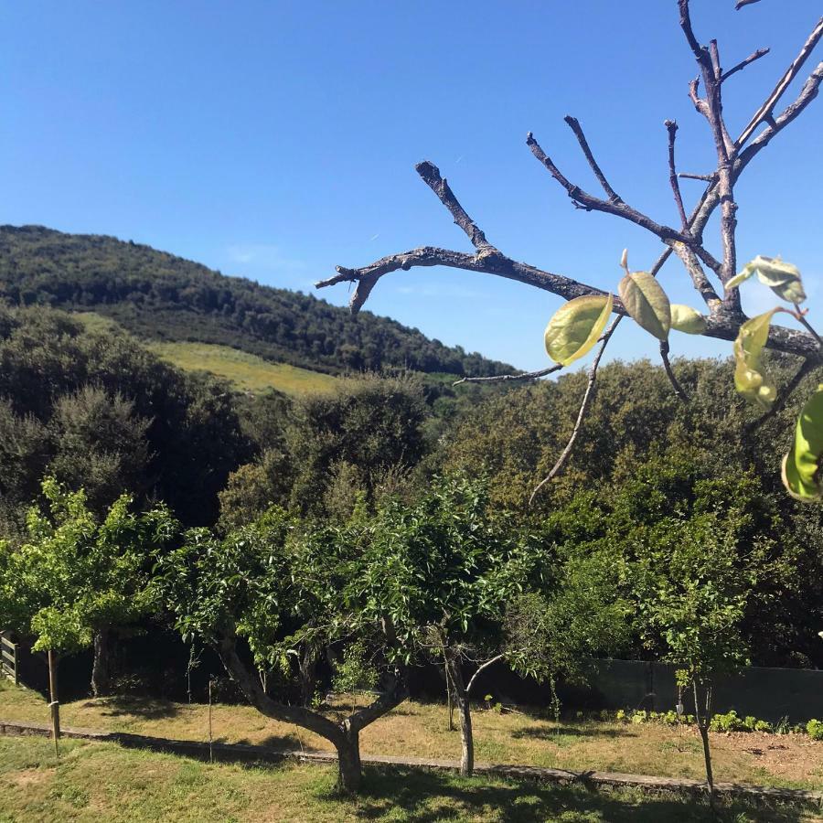 B&B La Tasgia Aggius Luaran gambar