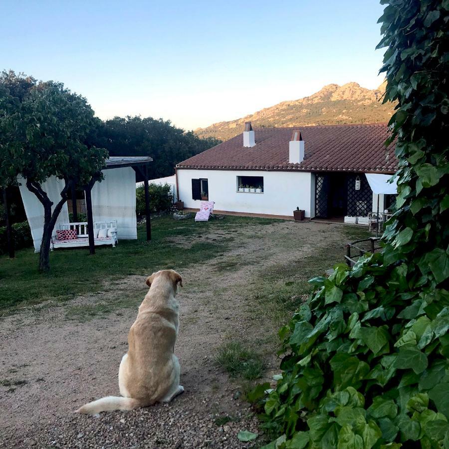 B&B La Tasgia Aggius Luaran gambar