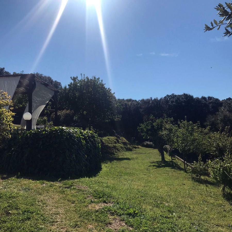 B&B La Tasgia Aggius Luaran gambar