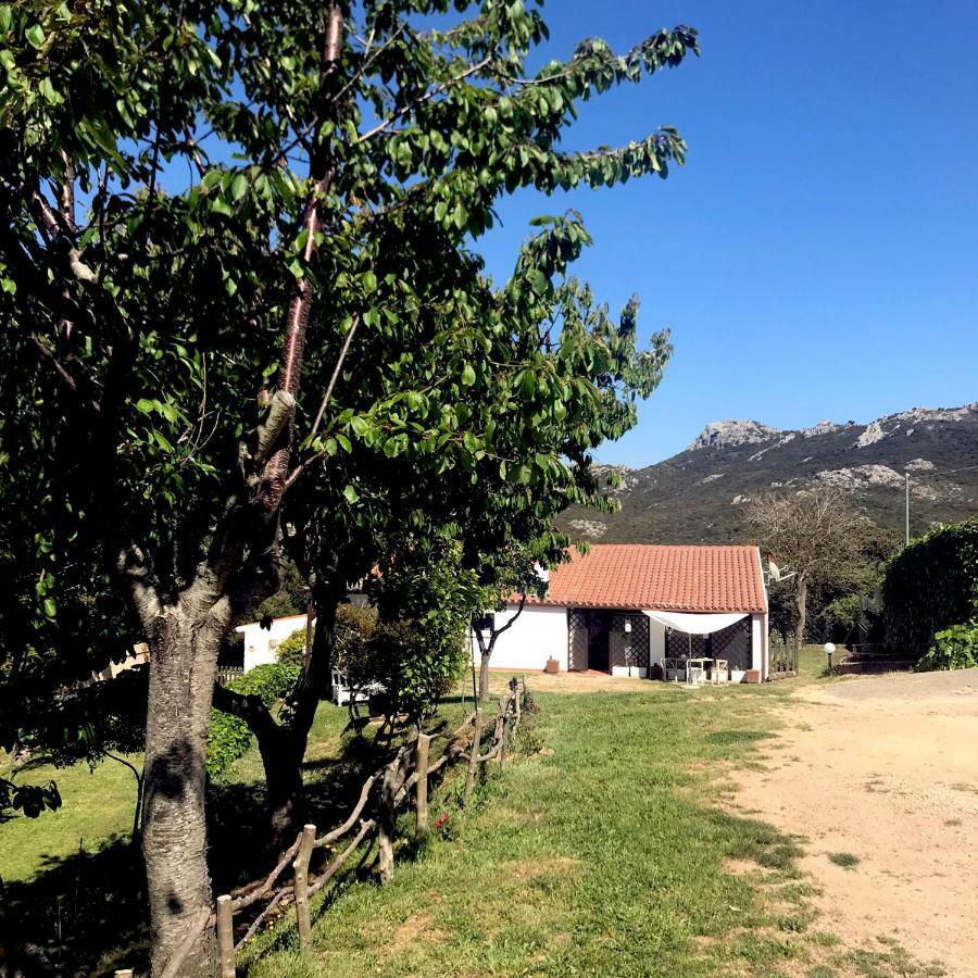 B&B La Tasgia Aggius Luaran gambar