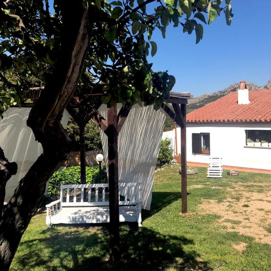 B&B La Tasgia Aggius Luaran gambar