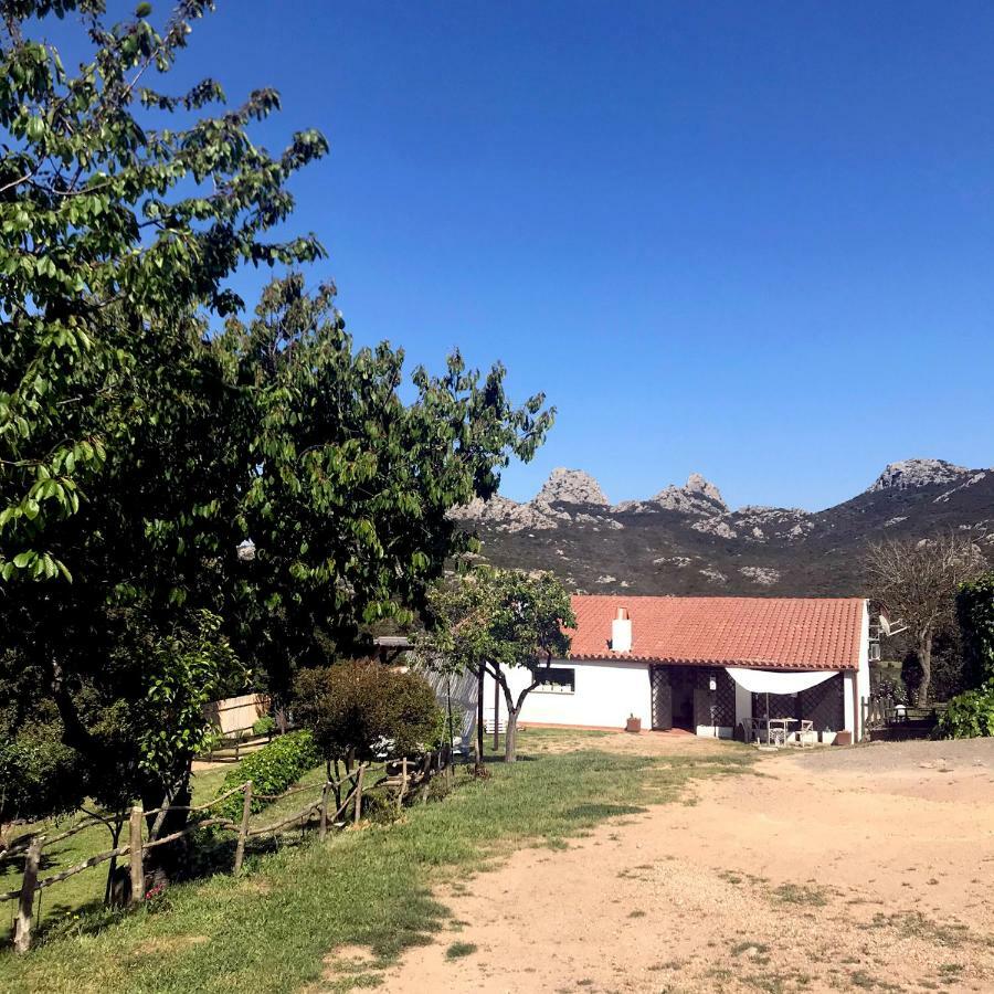 B&B La Tasgia Aggius Luaran gambar